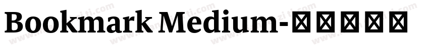 Bookmark Medium字体转换